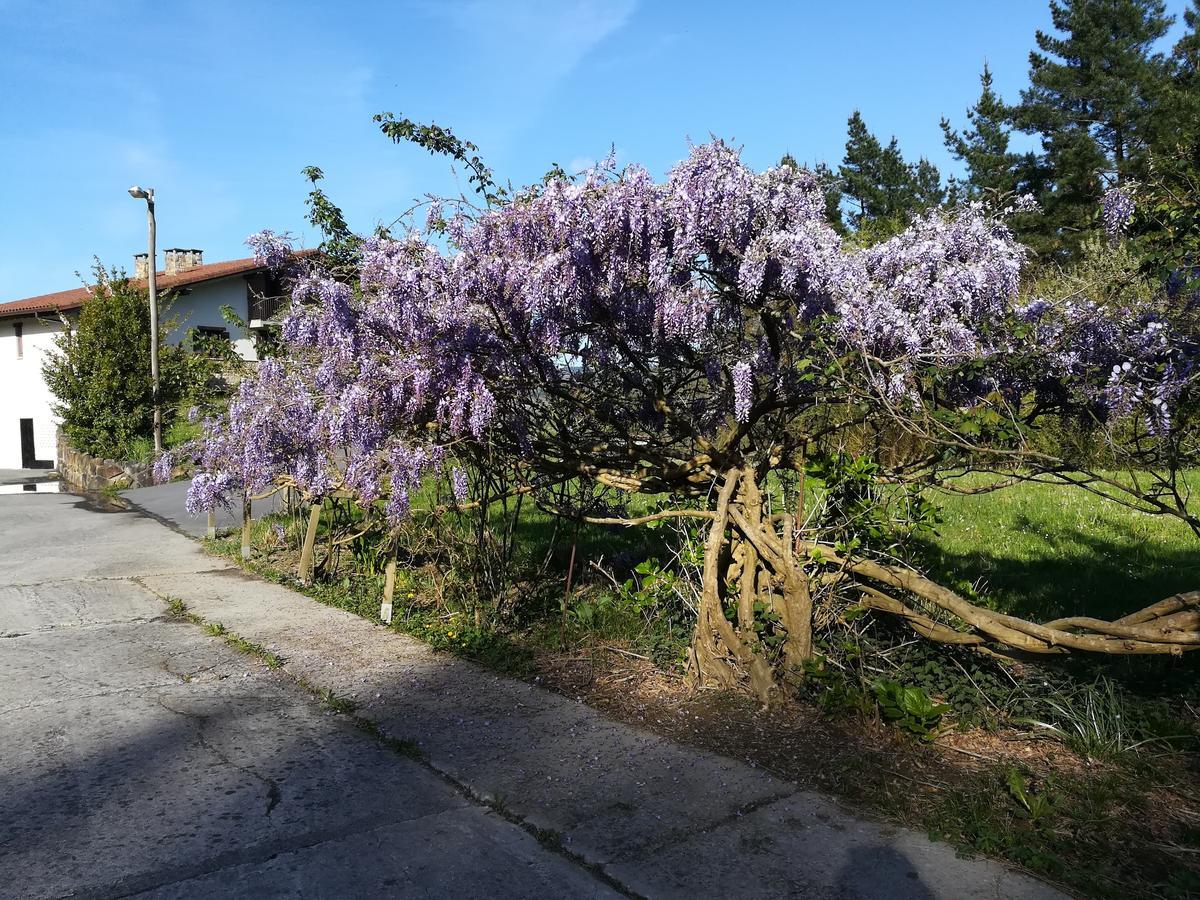 Casa Rural Miamendi ララベツ エクステリア 写真